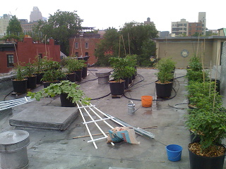 July 2008 on the roof.